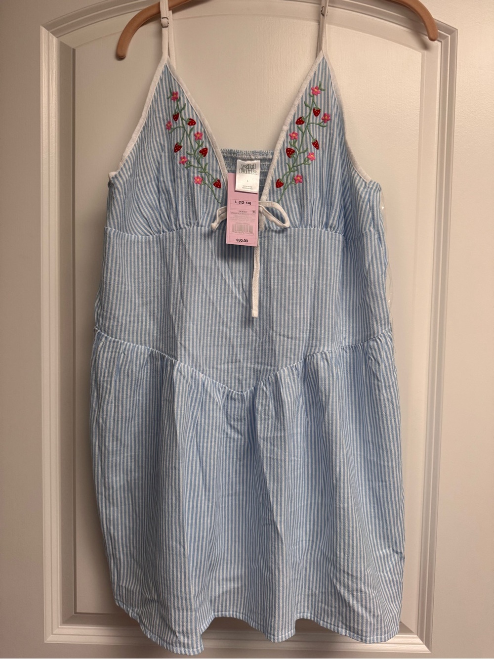 wild fable Blue and White Striped Midi Sundress with Red Floral Embroidery
